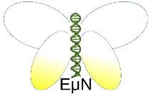 Energy and Nutrition from Microbes